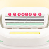 8道專護膚隔離網圖